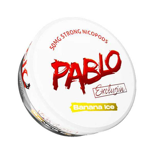 PABLO NIC POUCHES PACK OF 10