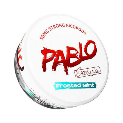 PABLO NIC POUCHES PACK OF 10