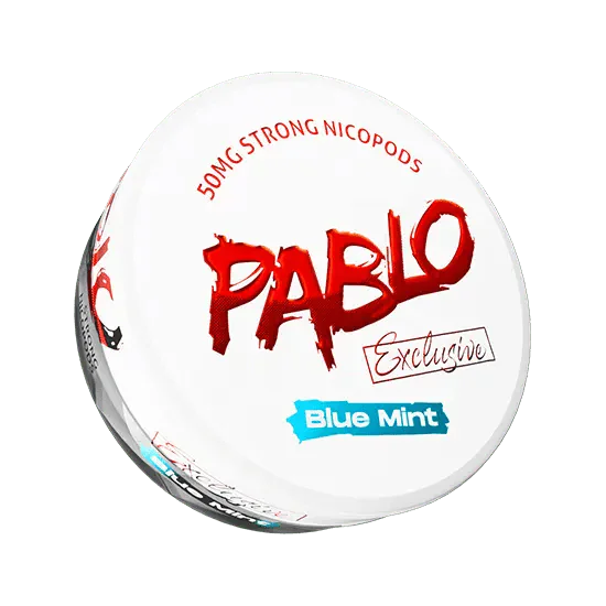 PABLO NIC POUCHES PACK OF 10