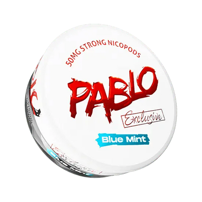 PABLO NIC POUCHES PACK OF 10